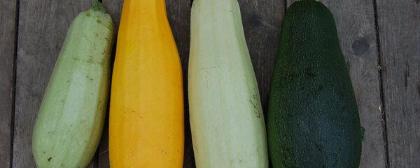 ყაბაყი ყაბაყი - Sputnik საქართველო