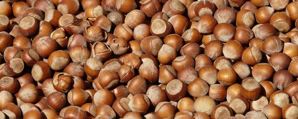 თხილი - Sputnik საქართველო