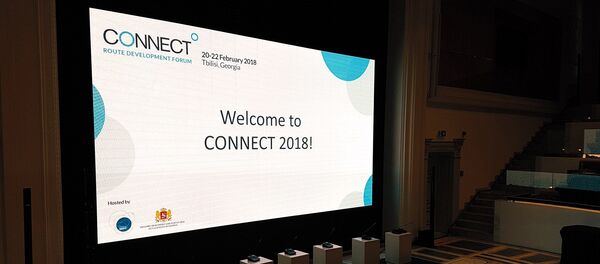 Европейский авиационный форум - Sputnik Грузия