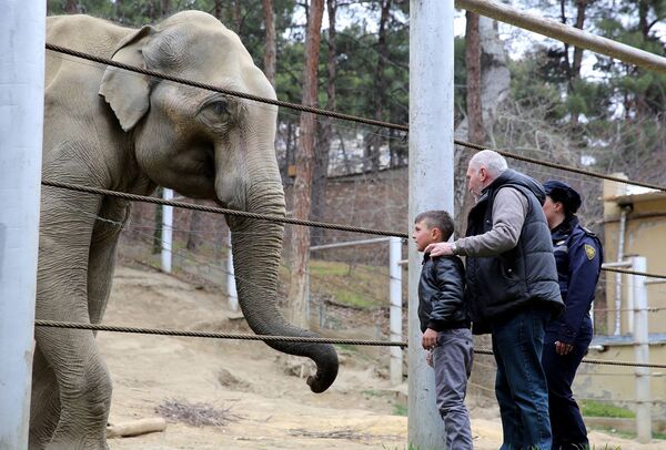 Во время прогулки по зоопарку маленького Давида сопровождал и директор зоологического парка Зураб Гуриелидзе - Sputnik Грузия