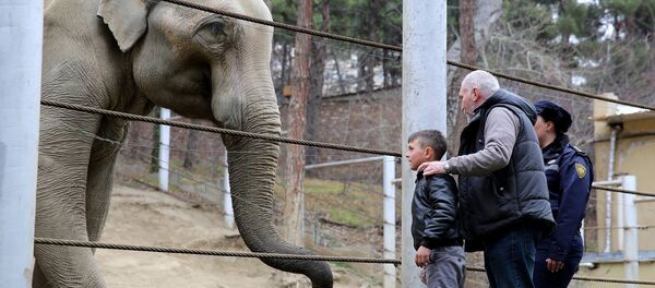 Давид Нозадзе в зоопарке - Sputnik Грузия