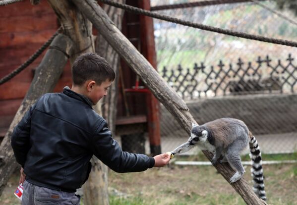 Во время экскурсии по зоопарку Давиду предоставили возможность поиграть с разными животными и покормить их - Sputnik Грузия