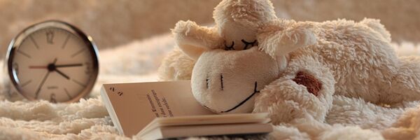 Сладкий сон - будильник и игрушка рядом с книгой - Sputnik საქართველო