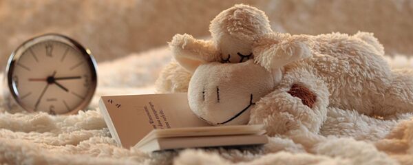 Сладкий сон - будильник и игрушка рядом с книгой Сладкий сон - будильник и игрушка рядом с книгой - Sputnik საქართველო