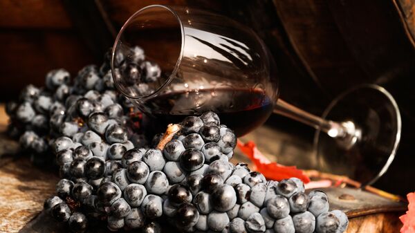 Виноградная лоза и вино в бокале  - Sputnik Грузия