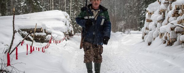 Охотник во время охоты - Sputnik Грузия