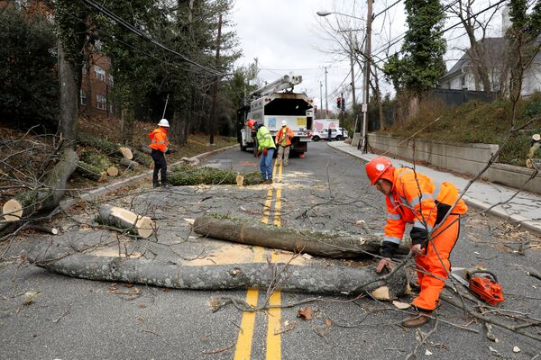 Рабочие убирают с проезжей части дороги в Вашингтоне деревья, поваленные сильным ветром - Sputnik Грузия