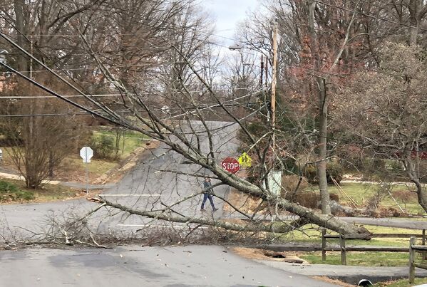 Сильный ветер повалил деревья на дорогу и в штате Вирджиния у населенного пункта Аннандейл - Sputnik Грузия