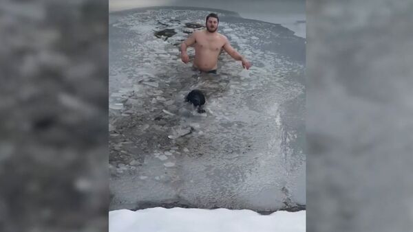 Канадец спас провалившуюся под лед собаку - Sputnik Грузия