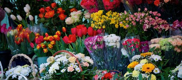 Цветочный рынок в столице Грузии - Sputnik Грузия