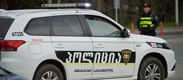Патрульная полиция - Sputnik Грузия