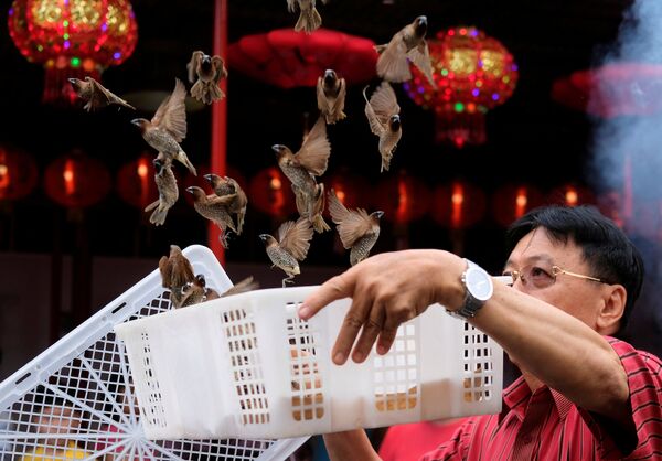 Житель китайского квартала в Джакарте выпускает птиц, празднуя наступление нового года по лунному календарю - считается, что этот традиционный обряд приносит удачу - Sputnik Грузия