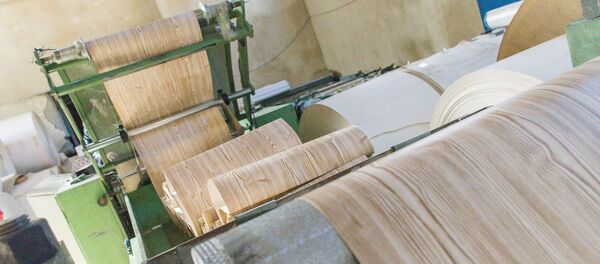 „აწარმოე საქართველოში“ - შპალერის ფაბრიკა „აწარმოე საქართველოში“ - შპალერის ფაბრიკა - Sputnik საქართველო