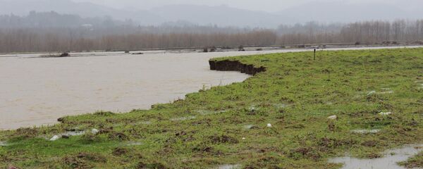 Река вышла из берегов в Озургети - Sputnik Грузия