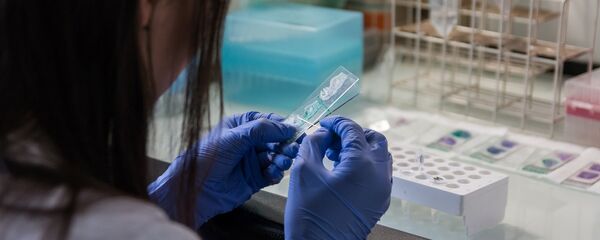 ლაბორატორიული კვლევა ლაბორატორიული კვლევა - Sputnik საქართველო