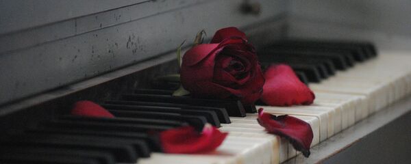 ვარდი როიალზე ვარდი როიალზე - Sputnik საქართველო