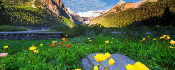 Весна - Sputnik Грузия