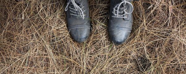 გირჩები გირჩები - Sputnik საქართველო