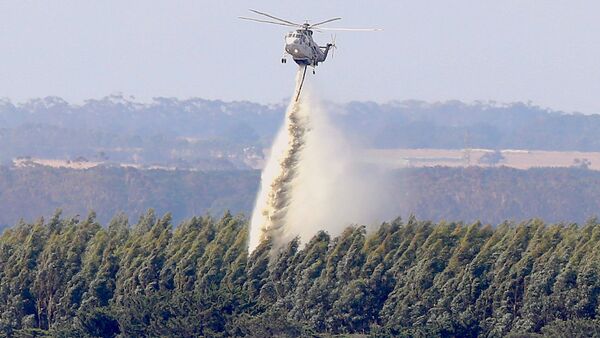Ликвидация лесного пожара с помощью вертолета близ Мельбурна, Австралия - Sputnik Грузия