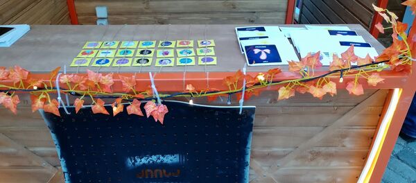 Прилавок с продукцией Аииса Прилавок с продукцией Аииса - Sputnik Грузия