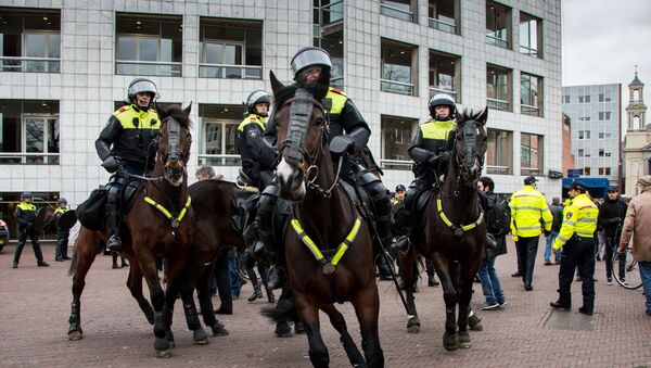 Полиция в Амстердаме на лошадях - Sputnik Грузия