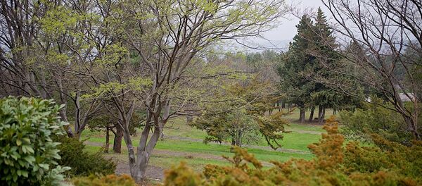 თბილისის ერთ-ერთი პარკი - Sputnik საქართველო