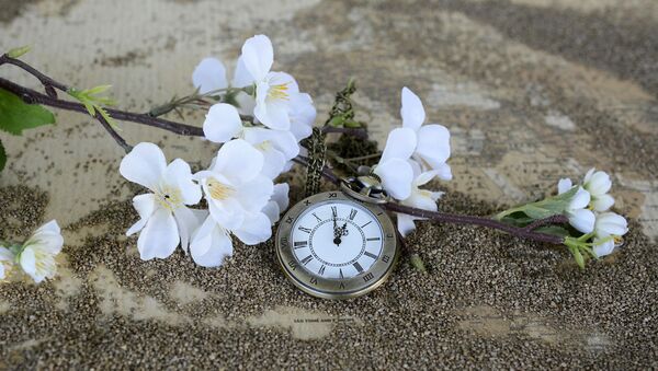 Часы и брошенные цветы - Sputnik Грузия