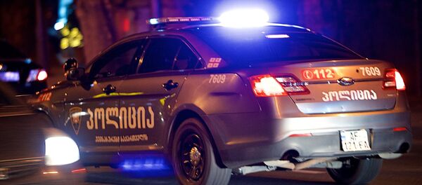 საპატრულო პოლიცია - Sputnik საქართველო