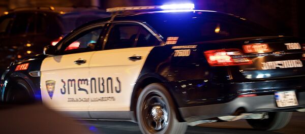 საპატრულო პოლიცია - Sputnik საქართველო