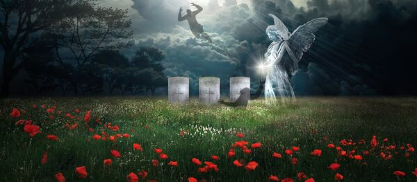 კრწანისის ყაყაჩოები - Sputnik საქართველო