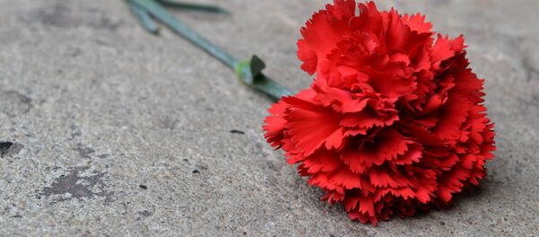 მიწაზე დაგდებული მიხაკი მიწაზე დაგდებული მიხაკი - Sputnik საქართველო