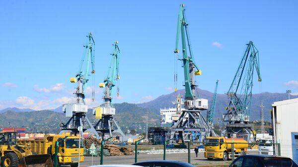Портовые краны в Батумском порту - Sputnik Грузия