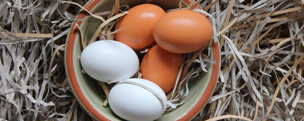 თეთრ და მუქნაჭუჭიანი კვერცხები კალათში  თეთრ და მუქნაჭუჭიანი კვერცხები კალათში  - Sputnik საქართველო