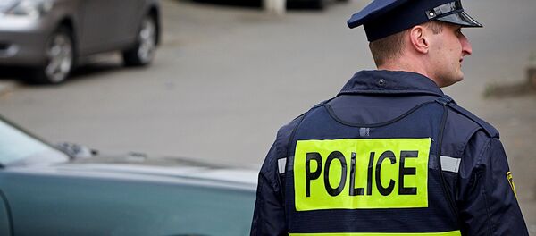 საპატრულო პოლიციის თანამშრომელი საპატრულო პოლიციის თანამშრომელი - Sputnik საქართველო