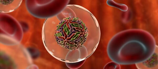 C ჰეპატიტი - Sputnik საქართველო