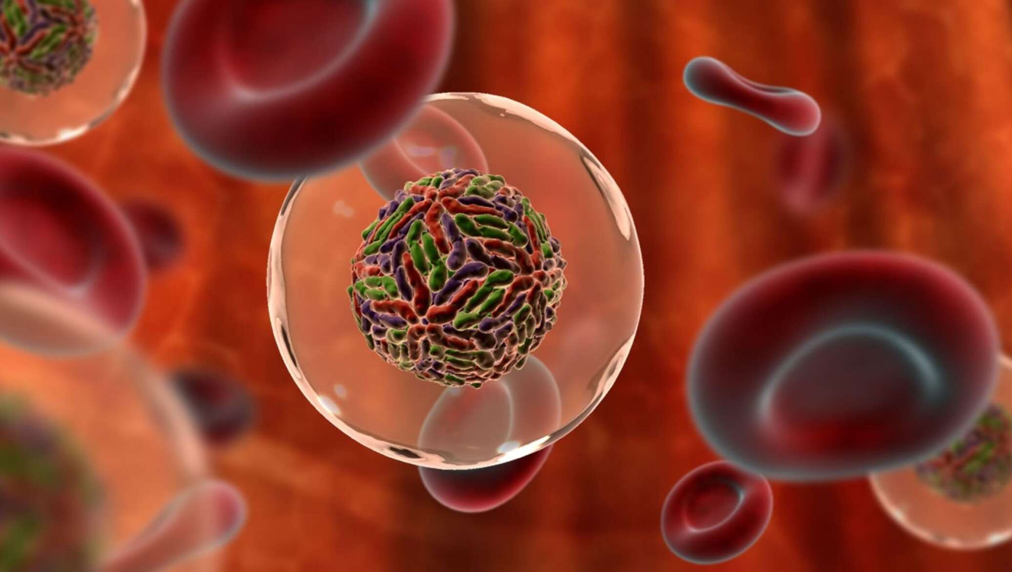Иммунные клетки печени. Клетки крови. Вирусные гепатиты картинки.