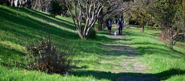 პარკი თბილისში პარკი თბილისში - Sputnik საქართველო