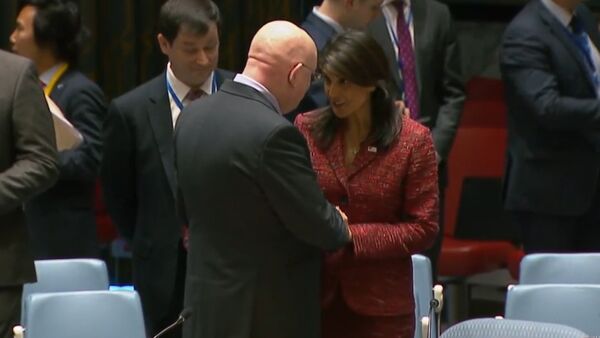 Как Василий Небензя и Никки Хейли тепло приветствовали друг друга в ООН - Sputnik Грузия