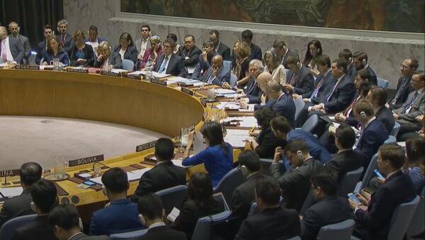 LIVE: Заседание Совбеза ООН по Сирии - Sputnik Грузия