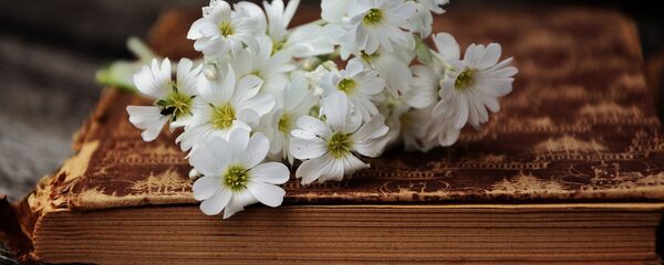 ძველი წიგნი და ყვავილები ძველი წიგნი და ყვავილები - Sputnik საქართველო