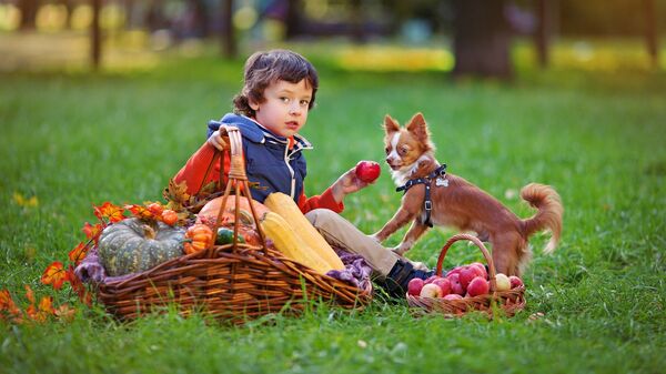 ძაღლი და ბავშვი პარკში - Sputnik საქართველო