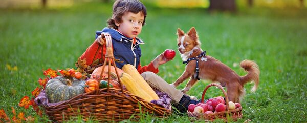 ძაღლი და ბავშვი პარკში ძაღლი და ბავშვი პარკში - Sputnik საქართველო
