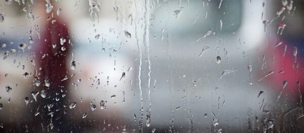 წვიმიანი ამინდი წვიმიანი ამინდი - Sputnik საქართველო