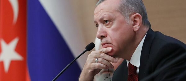 Визит президента РФ В. Путина в Турцию. День второй Визит президента РФ В. Путина в Турцию. День второй - Sputnik Грузия