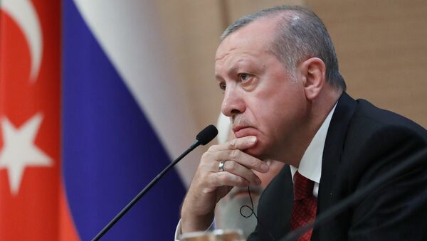 Визит президента РФ В. Путина в Турцию. День второй - Sputnik Грузия