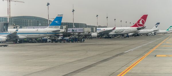 აეროპორტის ასაფრენი ბილიკი აეროპორტის ასაფრენი ბილიკი - Sputnik საქართველო