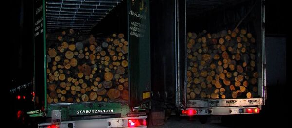 ხე-ტყით დატვირთული სატვირთოები - Sputnik საქართველო