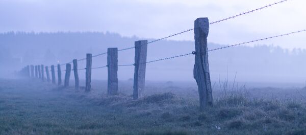 მავთულხლართი მავთულხლართი - Sputnik საქართველო