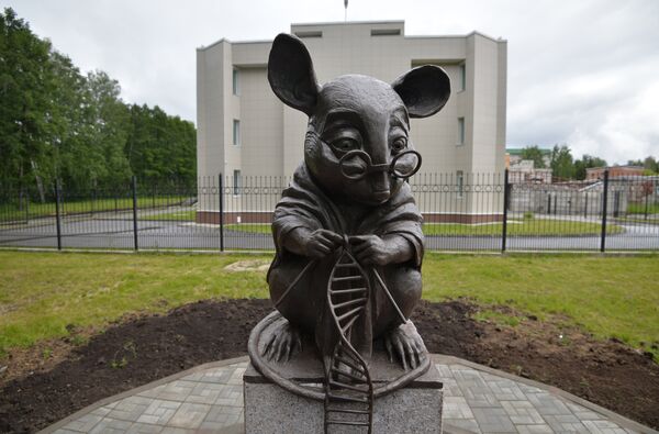ლაბორატორიის თაგვის ძეგლი ნოვოსიბირსკში - Sputnik საქართველო
