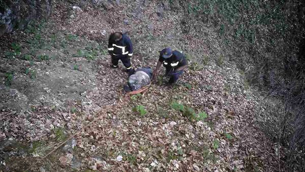 Спасатели поднимают тело погибшего из пропасти в Ахметском районе - Sputnik Грузия